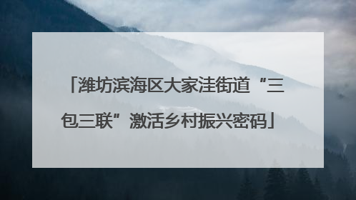潍坊滨海区大家洼街道“三包三联”激活乡村振兴密码