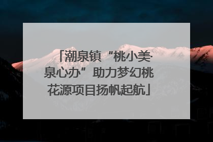 潮泉镇“桃小美·泉心办”助力梦幻桃花源项目扬帆起航