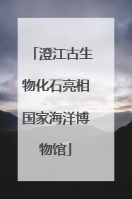 澄江古生物化石亮相国家海洋博物馆