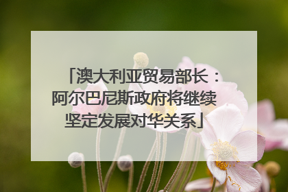 澳大利亚贸易部长：阿尔巴尼斯政府将继续坚定发展对华关系