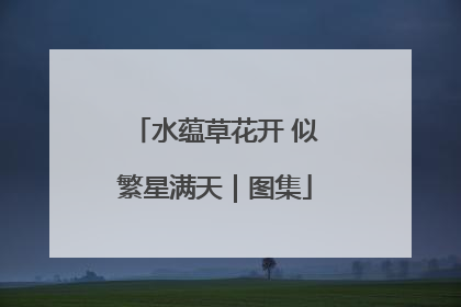 水蕴草花开 似繁星满天｜图集
