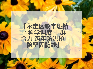 永定区教字垭镇：科学调度 干群合力 筑牢防洪抢险坚固防线