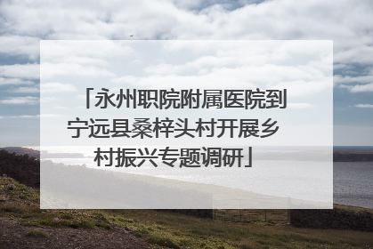 永州职院附属医院到宁远县桑梓头村开展乡村振兴专题调研