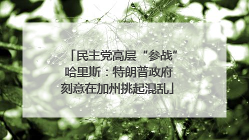 民主党高层“参战” 哈里斯：特朗普政府刻意在加州挑起混乱