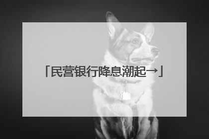 民营银行降息潮起→
