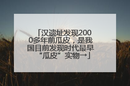 汉遗址发现2000多年前瓜皮，是我国目前发现时代最早“瓜皮”实物→