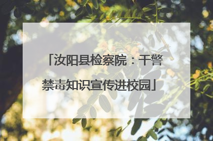汝阳县检察院：干警禁毒知识宣传进校园