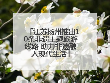 江苏扬州推出10条非遗主题旅游线路 助力非遗融入现代生活