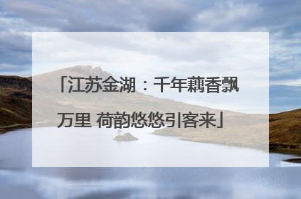 江苏金湖：千年藕香飘万里 荷韵悠悠引客来