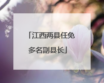 江西两县任免多名副县长