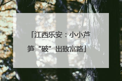 江西乐安：小小芦笋“破”出致富路