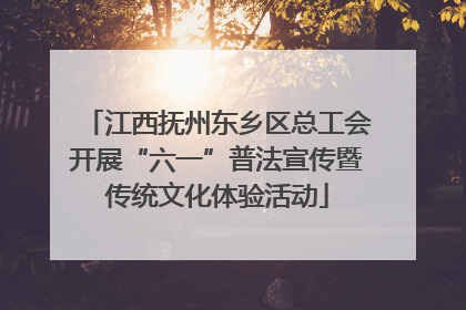 江西抚州东乡区总工会开展“六一”普法宣传暨传统文化体验活动