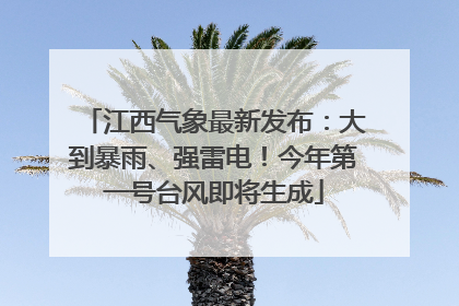 江西气象最新发布：大到暴雨、强雷电！今年第一号台风即将生成