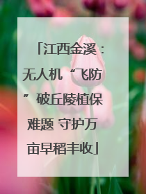 江西金溪：无人机“飞防”破丘陵植保难题 守护万亩早稻丰收