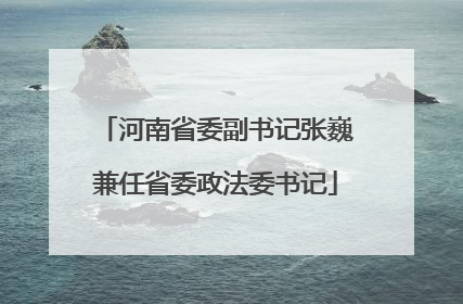 河南省委副书记张巍兼任省委政法委书记