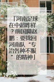 河南足球在中超咋样？前国脚赵鹏：要找回河南队“专治各种不服”的精神