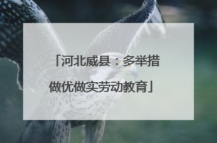 河北威县：多举措做优做实劳动教育