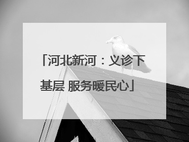 河北新河：义诊下基层 服务暖民心