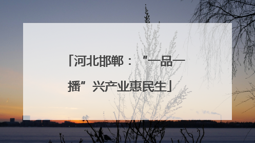 河北邯郸：“一品一播”兴产业惠民生