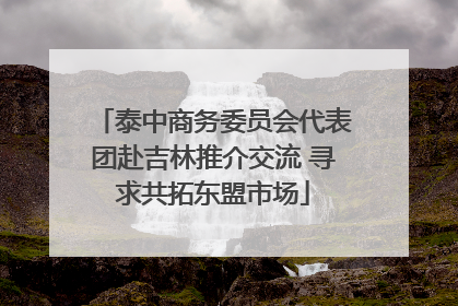 泰中商务委员会代表团赴吉林推介交流 寻求共拓东盟市场