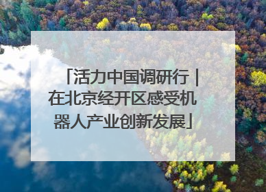 活力中国调研行｜在北京经开区感受机器人产业创新发展