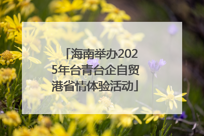海南举办2025年台青台企自贸港省情体验活动