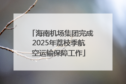 海南机场集团完成2025年荔枝季航空运输保障工作