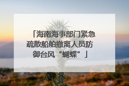 海南海事部门紧急疏散船舶撤离人员防御台风“蝴蝶”