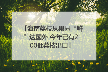 海南荔枝从果园“鲜”达国外 今年已有200批荔枝出口