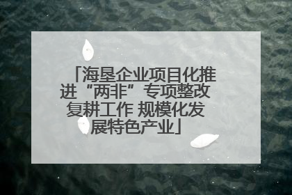 海垦企业项目化推进“两非”专项整改复耕工作 规模化发展特色产业