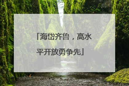 海岱齐鲁，高水平开放勇争先