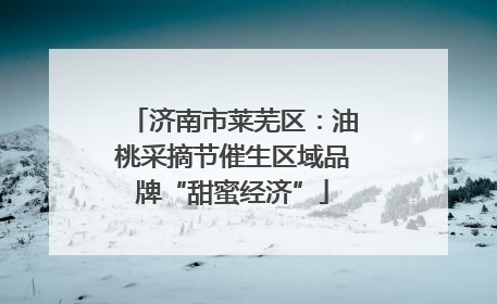 济南市莱芜区：油桃采摘节催生区域品牌“甜蜜经济”