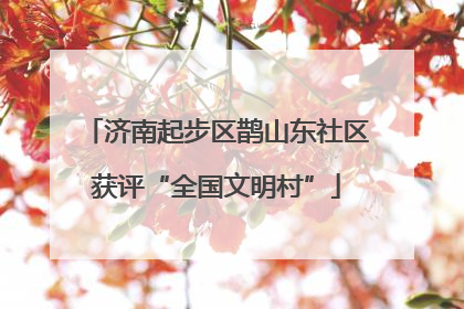 济南起步区鹊山东社区获评“全国文明村”