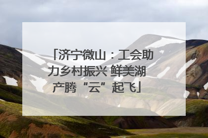 济宁微山：工会助力乡村振兴 鲜美湖产腾“云”起飞
