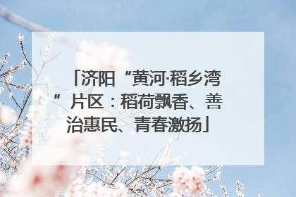 济阳“黄河·稻乡湾”片区：稻荷飘香、善治惠民、青春激扬