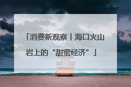 消费新观察丨海口火山岩上的“甜蜜经济”