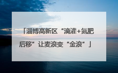 淄博高新区“滴灌+氮肥后移”让麦浪变“金浪”