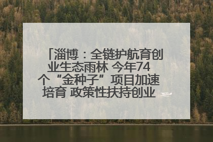 淄博：全链护航育创业生态雨林 今年74个“金种子”项目加速培育 政策性扶持创业9754人