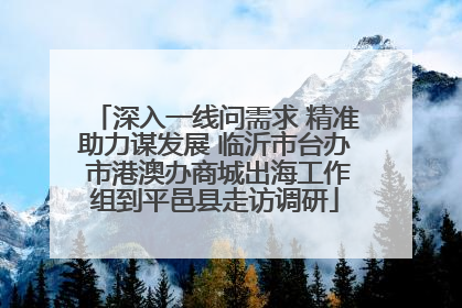 深入一线问需求 精准助力谋发展 临沂市台办 市港澳办商城出海工作组到平邑县走访调研