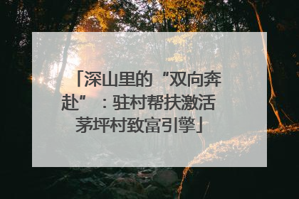 深山里的“双向奔赴”：驻村帮扶激活茅坪村致富引擎