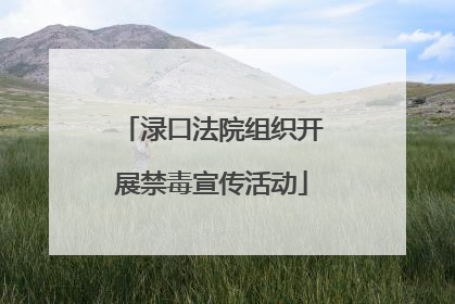 渌口法院组织开展禁毒宣传活动