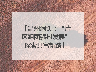 温州洞头：“片区组团强村发展”探索共富新路