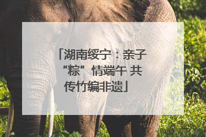湖南绥宁：亲子“粽”情端午 共传竹编非遗