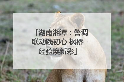 湖南湘潭：警调联动践初心 枫桥经验焕新彩