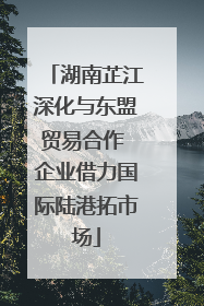 湖南芷江深化与东盟贸易合作 企业借力国际陆港拓市场