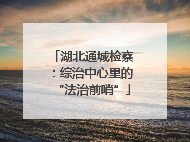 湖北通城检察：综治中心里的“法治前哨”