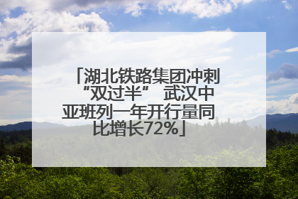湖北铁路集团冲刺“双过半” 武汉中亚班列一年开行量同比增长72%
