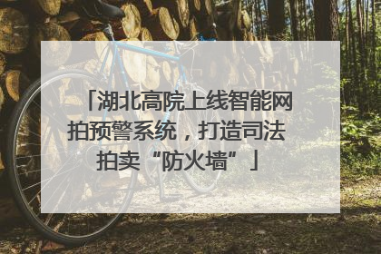 湖北高院上线智能网拍预警系统，打造司法拍卖“防火墙”
