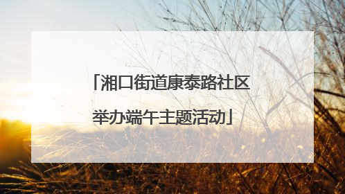 湘口街道康泰路社区举办端午主题活动