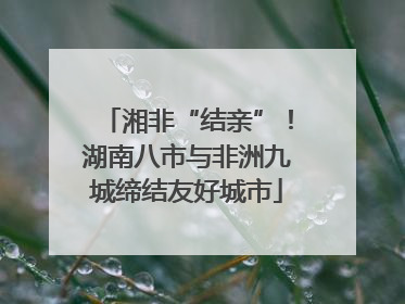 湘非“结亲”！湖南八市与非洲九城缔结友好城市